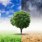 जलवायु परिवर्तन और सेहत