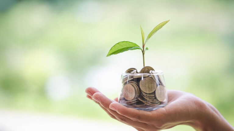 Benefits of Money Plant: मनी प्लांट घर में लगाने का सही तरीका और इसके फायदे 10 मनी प्लांट के फायदे (Benefits of Money Plant)